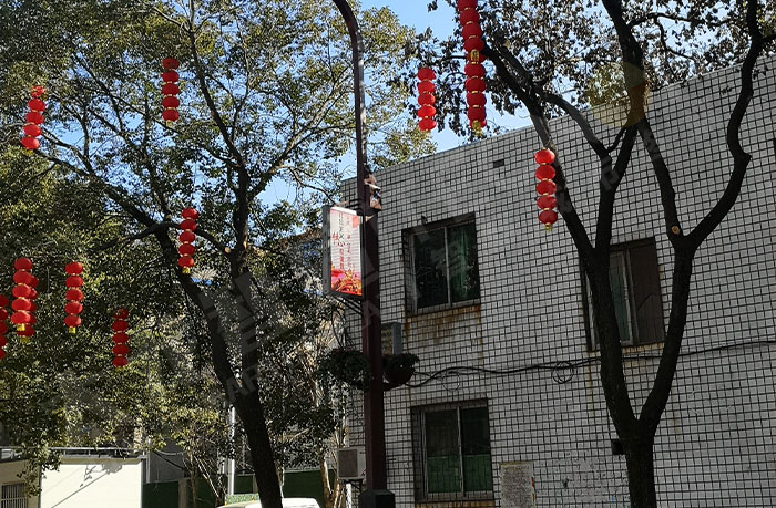 led灯杆屏|智慧灯杆屏|led广告机|智慧路灯屏|户外LED广告机|灯杆屏|智慧灯杆|智慧路灯