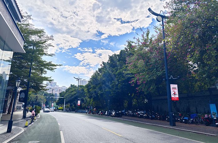 城市主干道灯杆屏应用 城市主干道灯杆屏应用