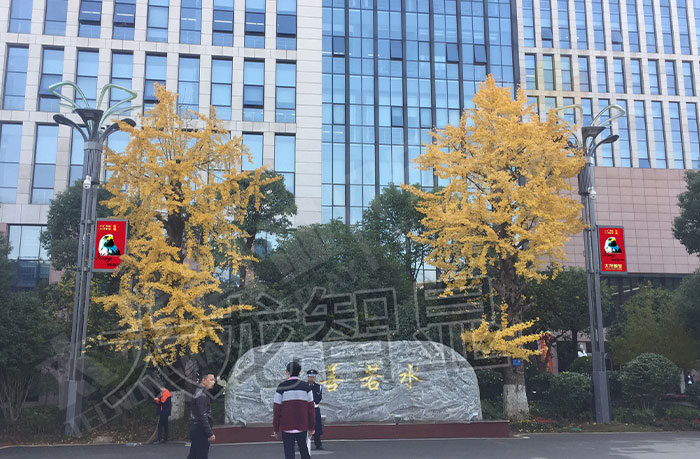 led灯杆屏|智慧灯杆屏|led广告机|智慧路灯屏|户外LED广告机|灯杆屏|智慧灯杆|智慧路灯 led灯杆屏|智慧灯杆屏|led广告机|智慧路灯屏|户外LED广告机|灯杆屏|智慧灯杆|智慧路灯