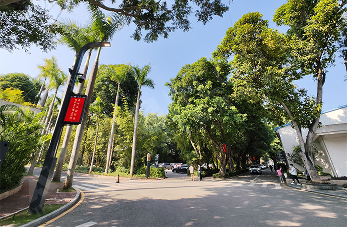 led灯杆屏|智慧灯杆屏|led广告机|智慧路灯屏|户外LED广告机|灯杆屏|智慧灯杆|智慧路灯