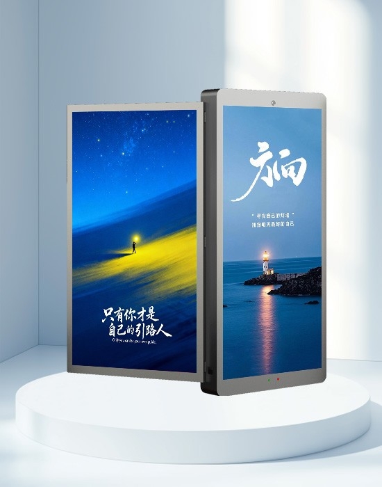 钣金箱800×1600双面LED灯杆屏