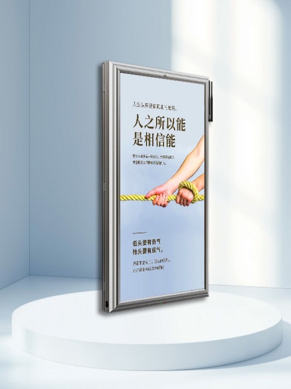 全铸铝800×1600单面LED灯杆屏